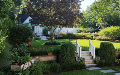 Create Your Dream Backyard With Landscape Design