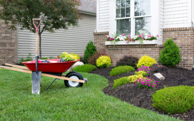 Importance of Weekly Lawn Care in Ongoing Landscape Maintenance