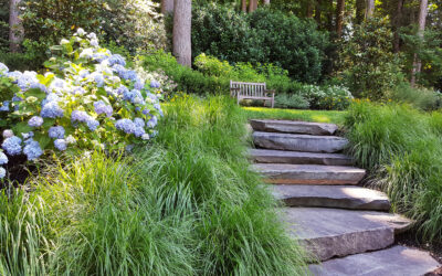Key Components to Maintain Your Home’s Landscape
