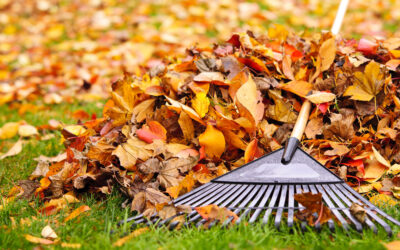Property Cleanups Maintain Seasonal Appeal